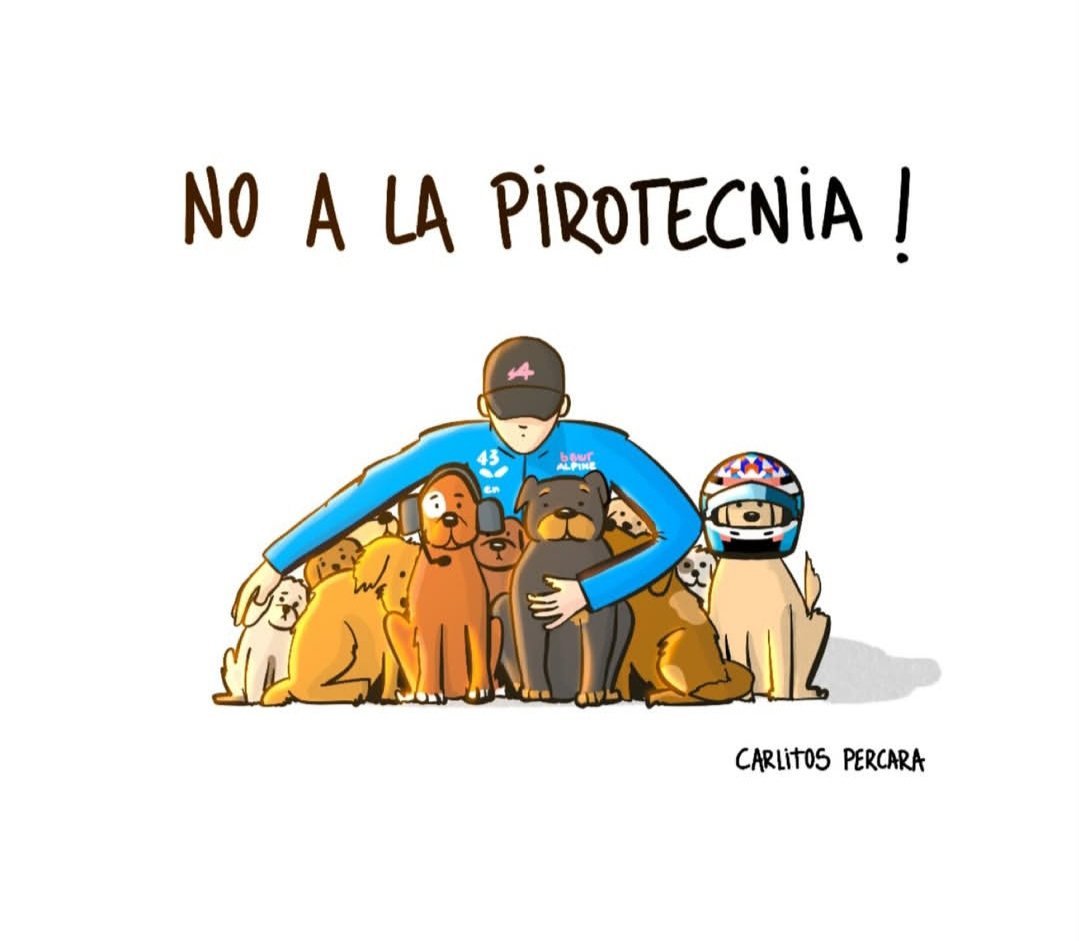 Mery_FC43 🇦🇷♥️ Soña grande, trabaja más grande ☀ tweet media