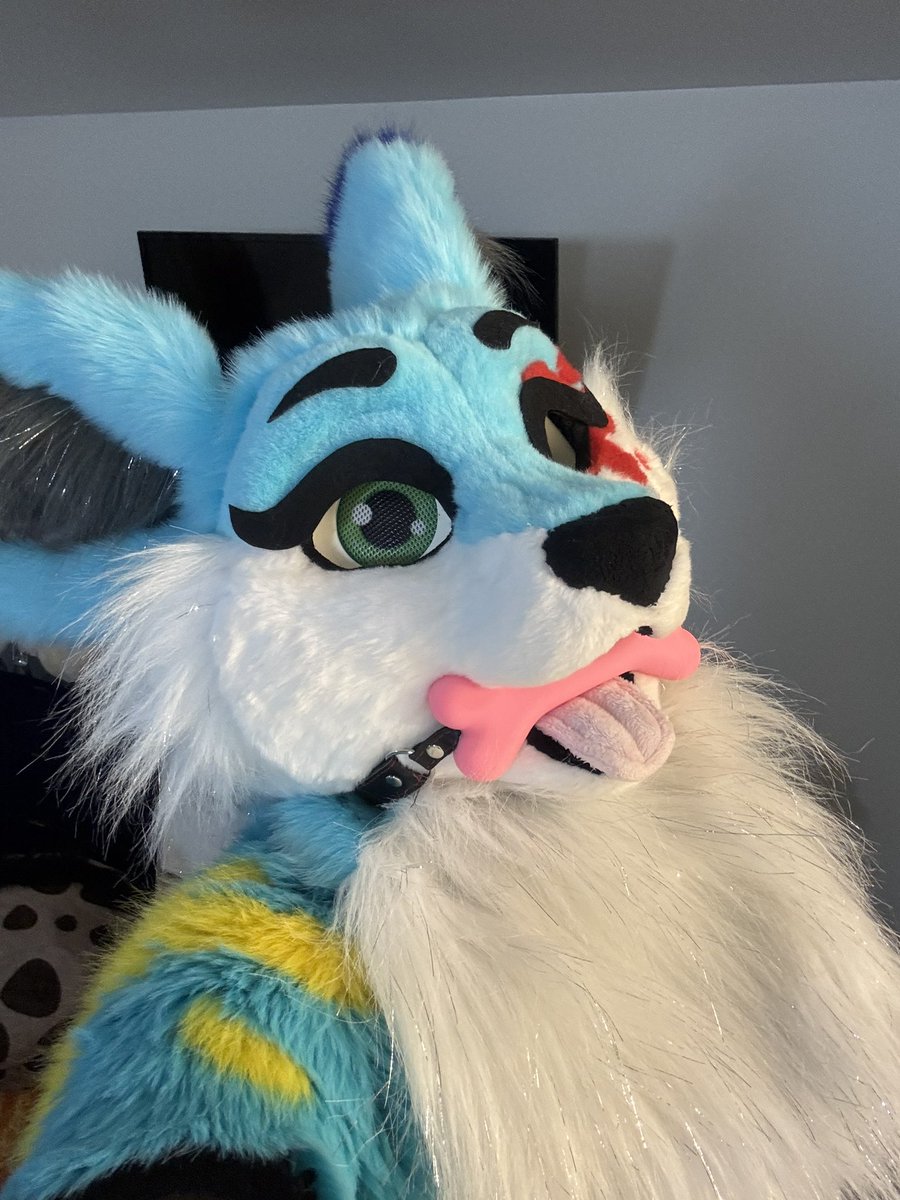 SplatFennec's tweet image. Bad fennec can’t bite anyone right now 
But I will bite you soon