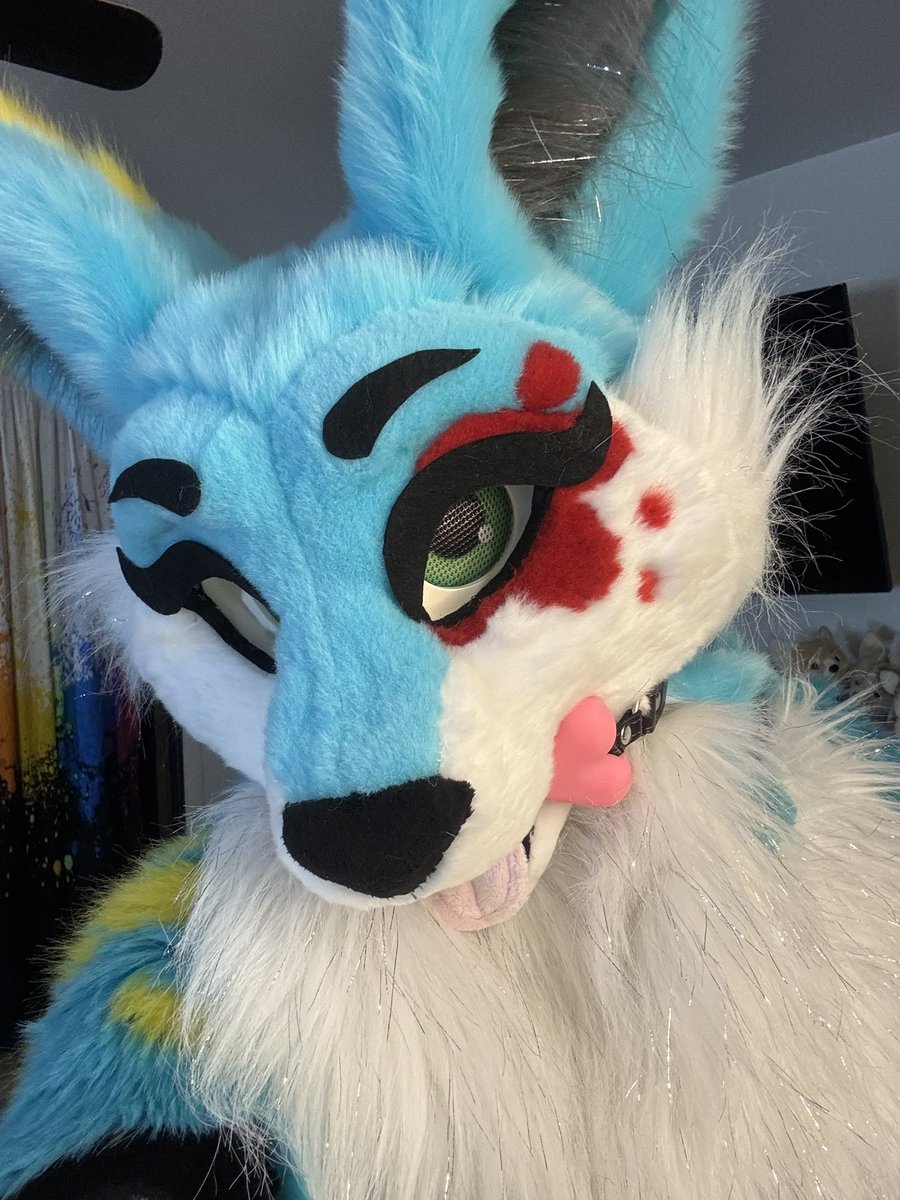 SplatFennec's tweet image. Bad fennec can’t bite anyone right now 
But I will bite you soon