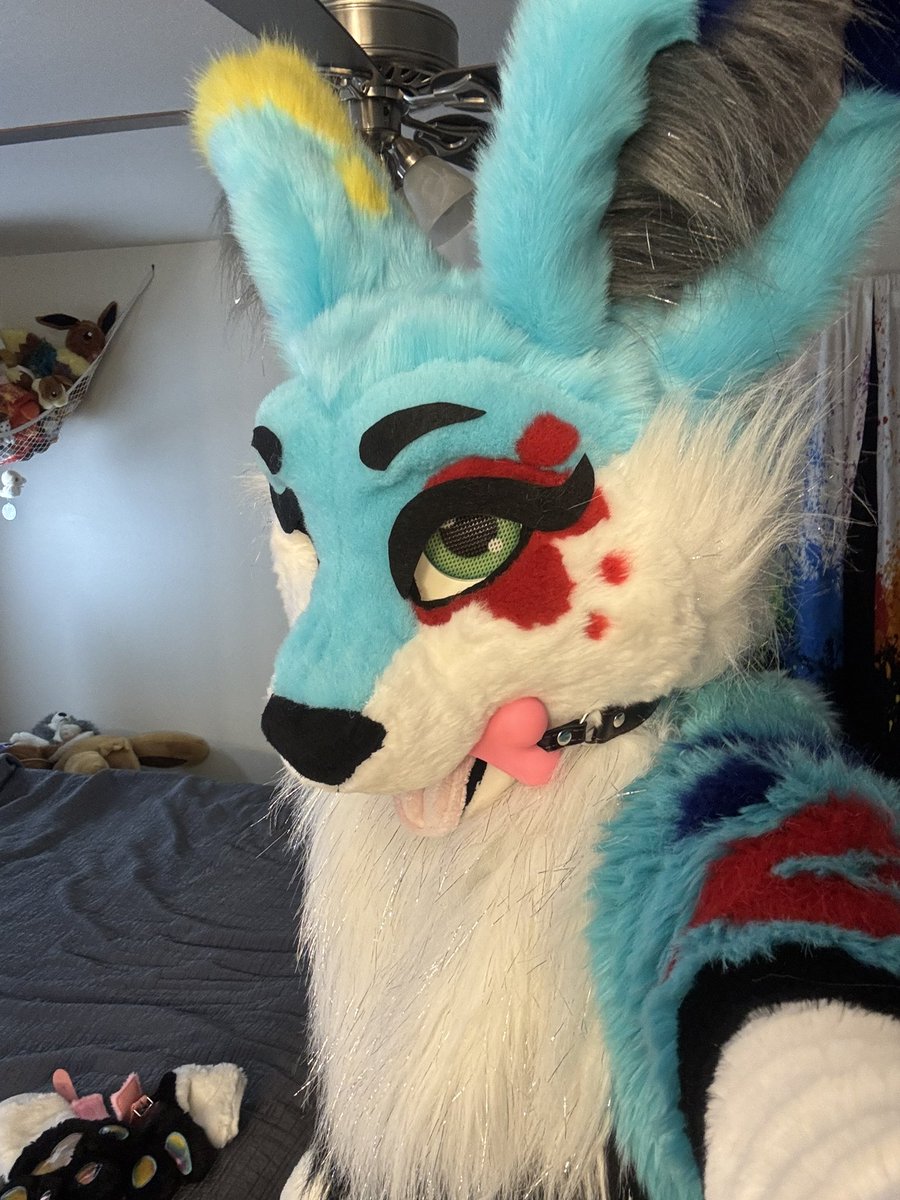 SplatFennec's tweet image. Bad fennec can’t bite anyone right now 
But I will bite you soon