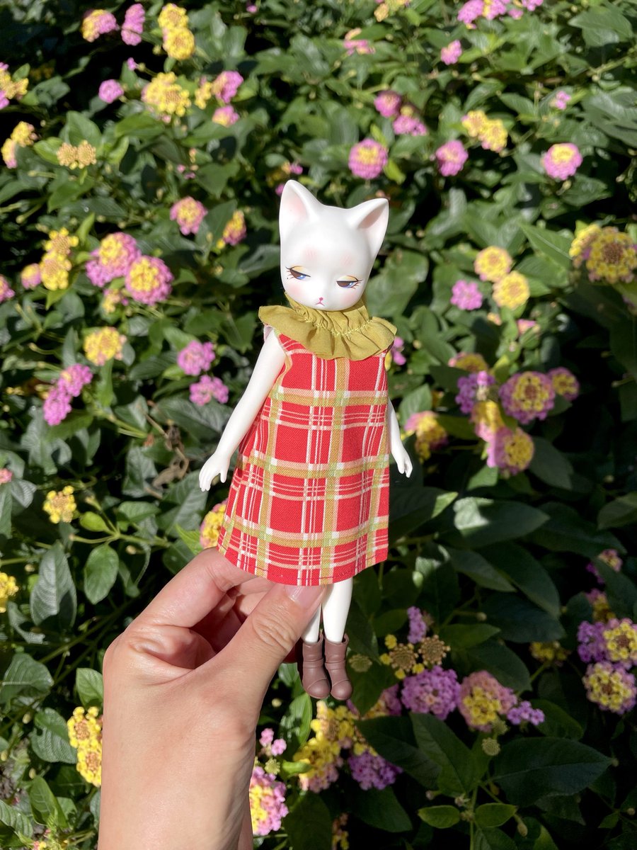 akkindaxx's tweet image. #piposdoll