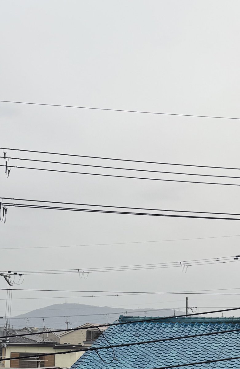 おはようございます☔️ 朝から雨の奈良です しばらくいいお天気が続い