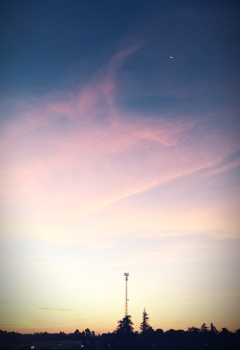 MagdalenaMpc's tweet image. Luna en #Progreso 🩷🌛