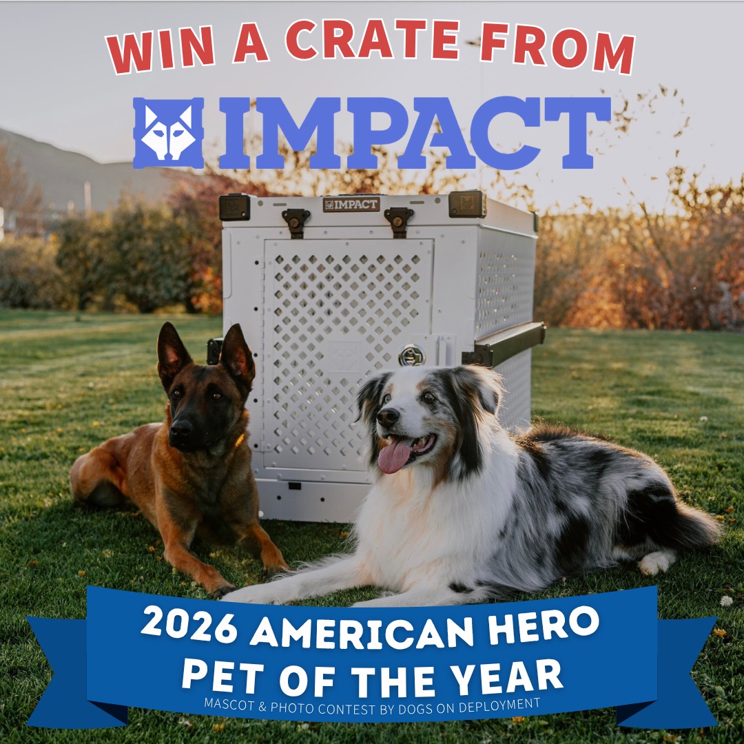 Dogs on Deployment tweet media