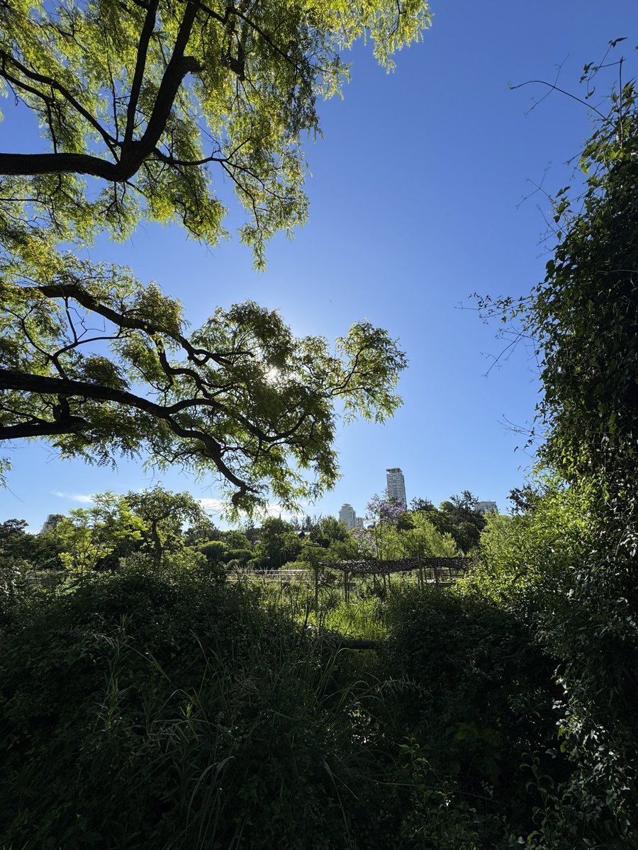 alexanderlee314's tweet image. One of the best cities in the world… decided to stay a bit longer 😅