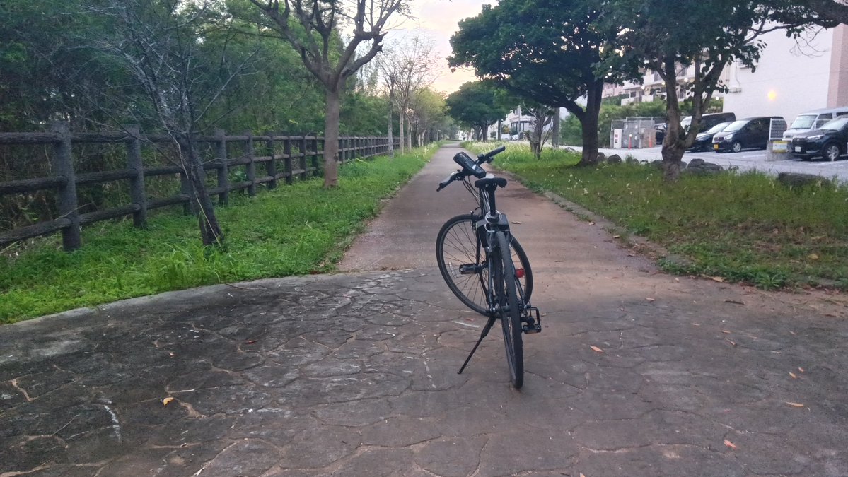 ryukyudream's tweet image. 何で雨が🌧️画像編集🖼️しながら目の役割を考えたり🤔するんだよな〜視線で👀コミュニケーションをとったり👁️状態で全身状態を🙄見極める場合も有るよな〜☝️人間の目は5億7600万画素程度の📸解像度を持つらしい視力の限界は🗾日本人は視力3.0が限界らしい😝