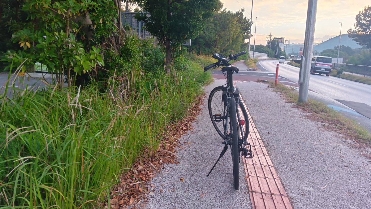 ryukyudream's tweet image. 何で雨が🌧️画像編集🖼️しながら目の役割を考えたり🤔するんだよな〜視線で👀コミュニケーションをとったり👁️状態で全身状態を🙄見極める場合も有るよな〜☝️人間の目は5億7600万画素程度の📸解像度を持つらしい視力の限界は🗾日本人は視力3.0が限界らしい😝