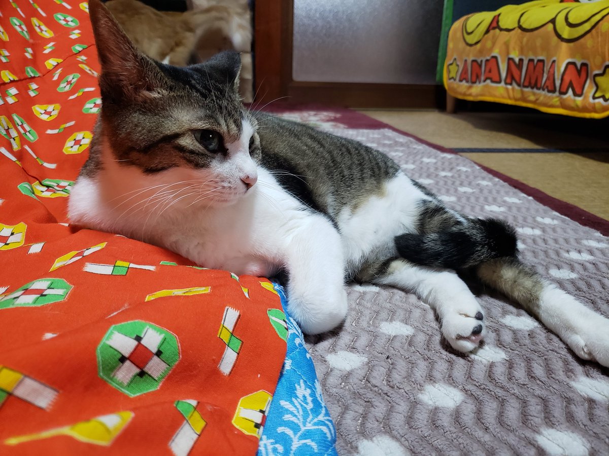 おはやう(　・ω・)
堅あげポテト食べたら胸焼け&amp;ポンポン痛い( ；ω；)
油への耐性が下がりすぎてる…(;´д｀)