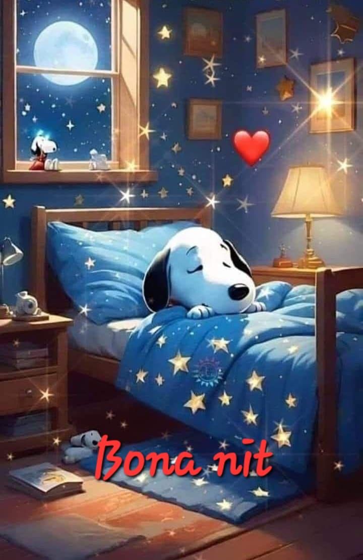 Buenas noches.Ser malos 😎