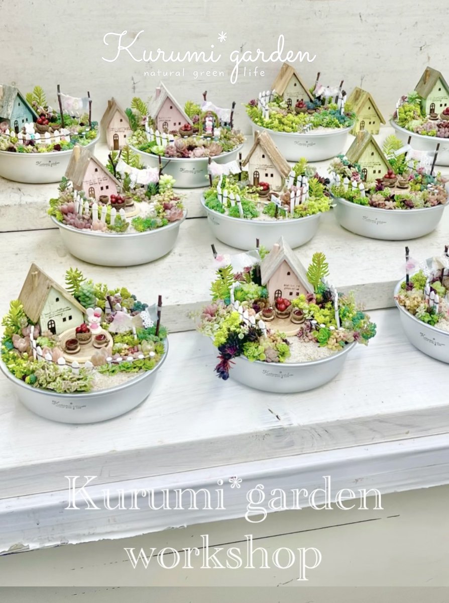 ぴよ様♡ご確認用ページ♡多肉植物 おうち時間・初心者でも簡単！多肉植物の寄せ植えにチャレンジ！