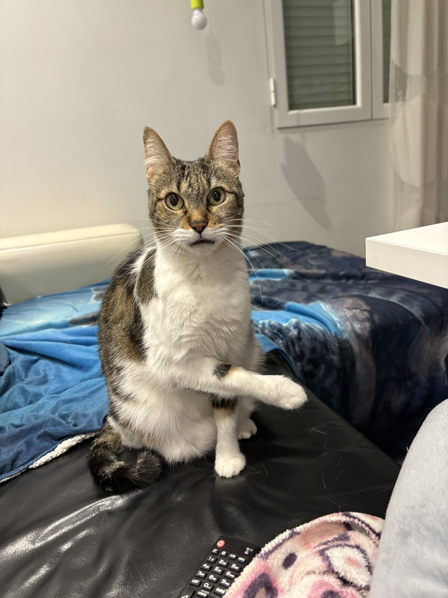 lapencadev's tweet image. Su honesta reacción cuando ha visto que habéis echado a Teyou #OTGala10