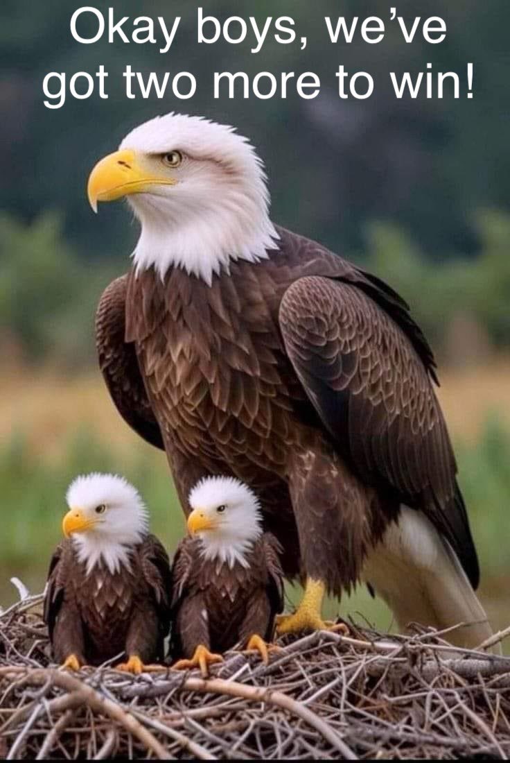 tutakja's tweet photo. @SEHS_FOOTBALL @sehsathletics @wearesteds @SEHS_Spirit @MaxPreps @mgoul https://t.co/PDIj43DAqu