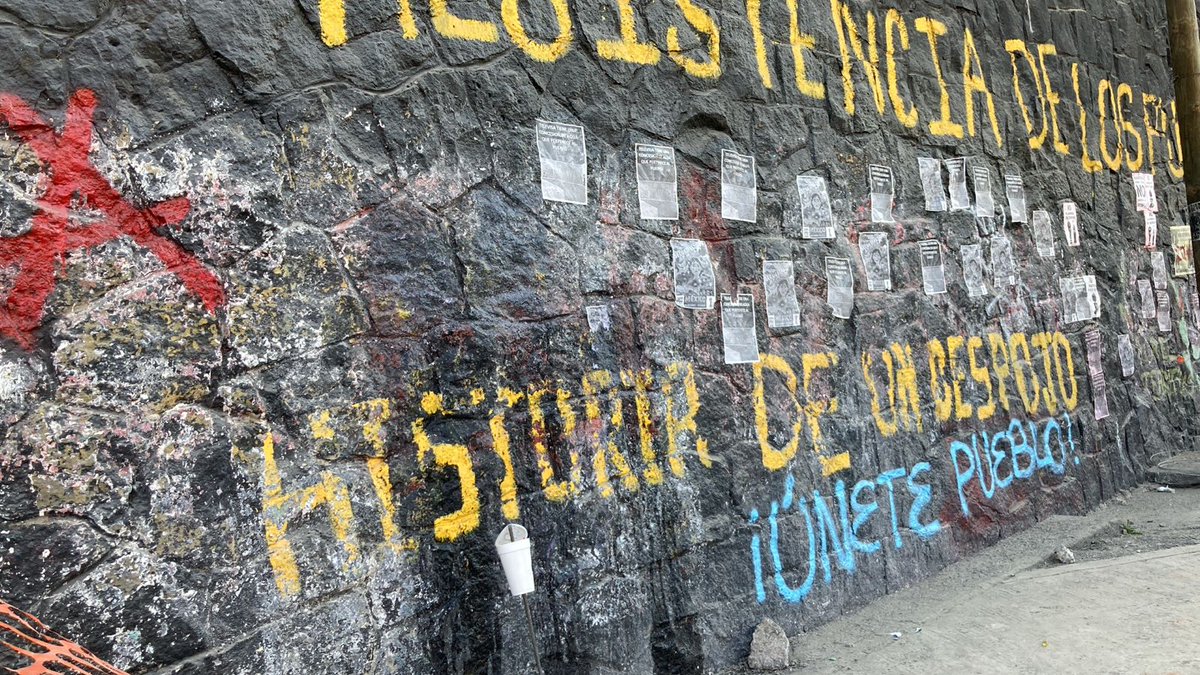 Pulso MX tweet media