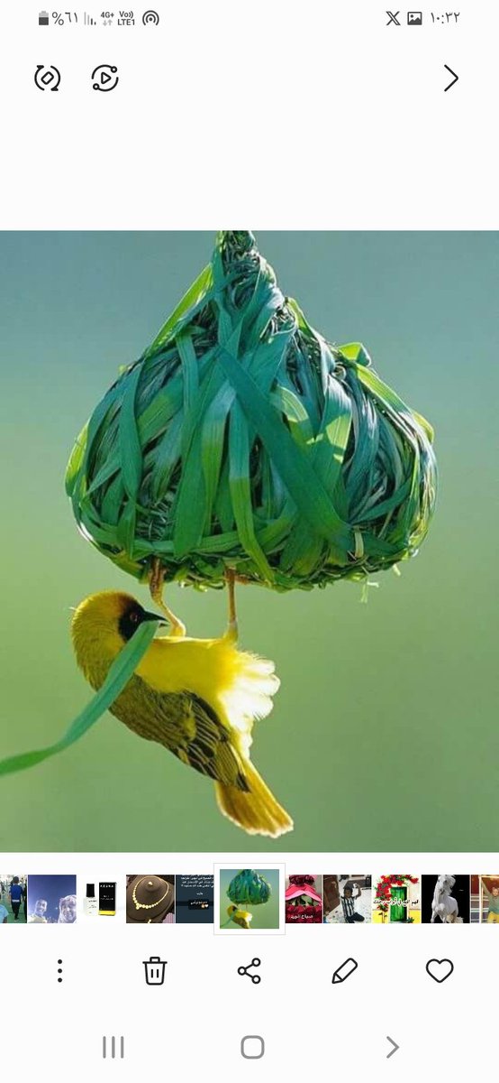 ‏💫مسـسائيات💫🎑 tweet media