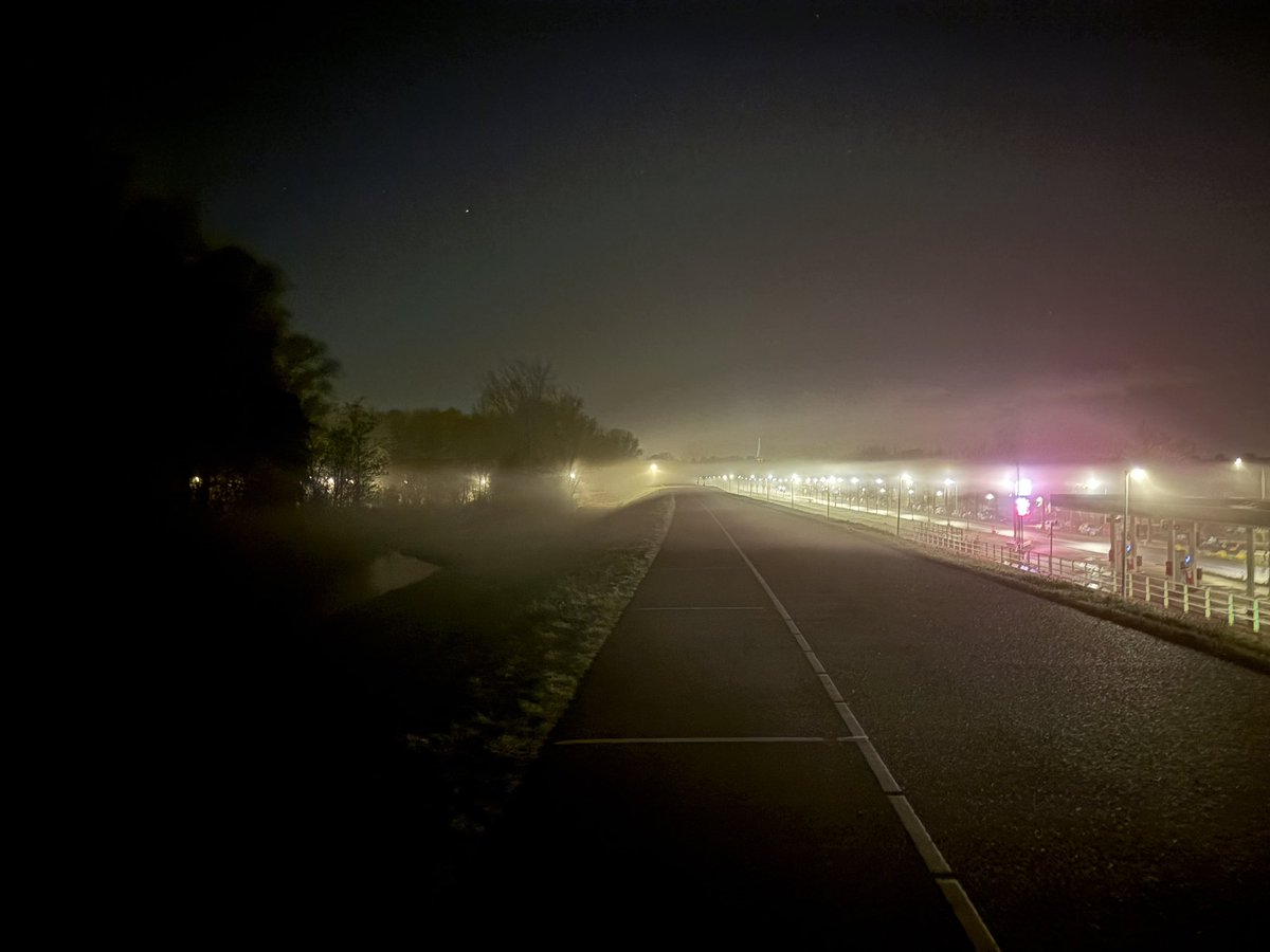Zojuist laatste rondje met hond T gedaan.
Kwamen we witte wieven tegen op de dijk! 😱