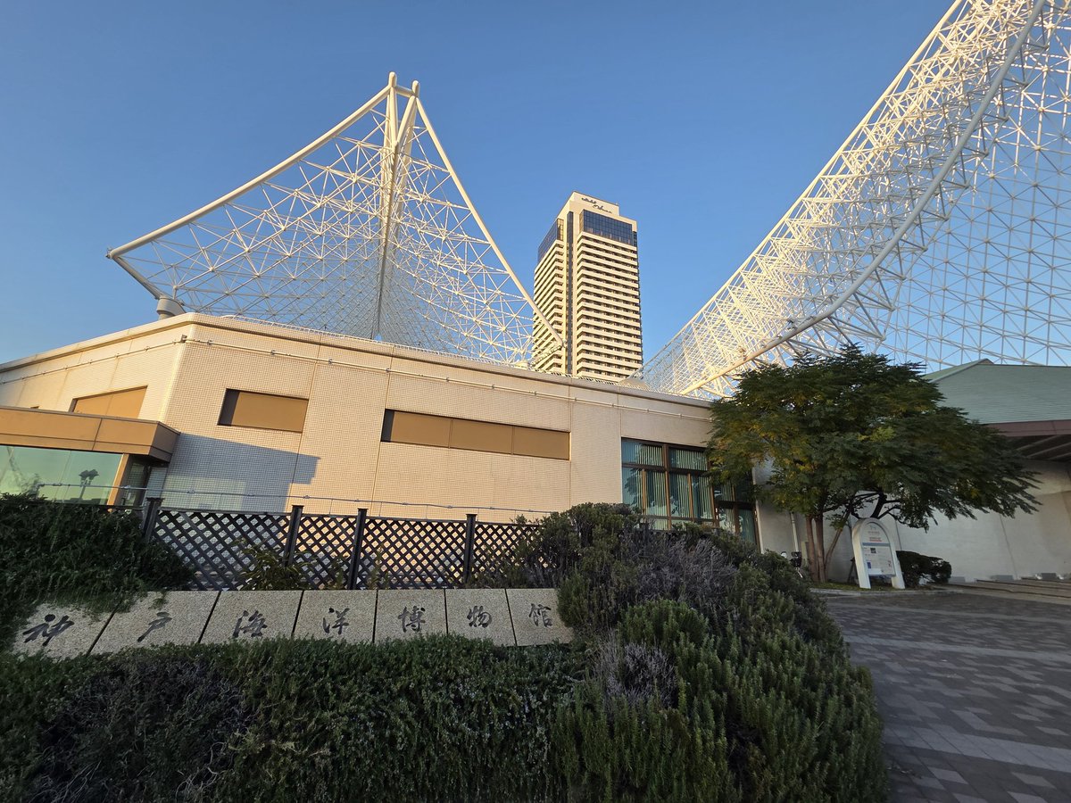 #ろでむ３世の散歩20251123

#えいがさき  の聖地巡礼地
※構図が分からん。

カワサキワールドは気になった、、、