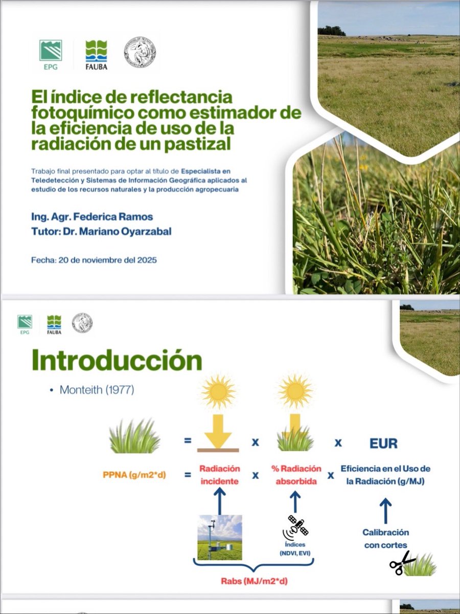 Federica Ramos🇺🇾 tweet media