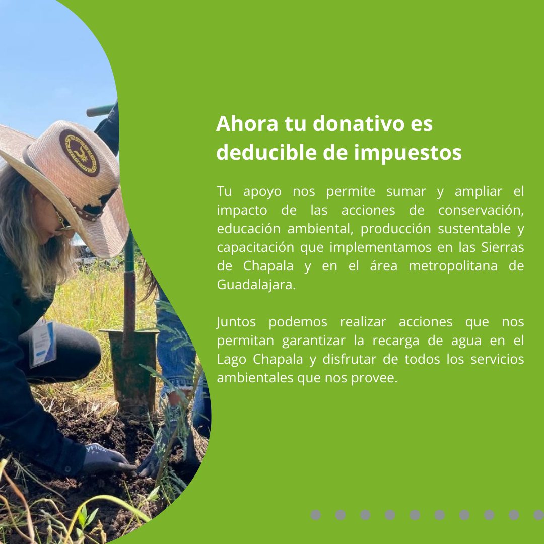 Instituto_CT's tweet photo. 📢 Gran noticia: ¡El Instituto Corazón de la Tierra ya es Donataria Autorizada!
Este reconocimiento significa confianza, transparencia y la posibilidad de que más personas, empresas y organizaciones se sumen a sanar nuestros ríos, lagos y restaurar nuestros bosques. https://t.co/BAQFZUrjIk