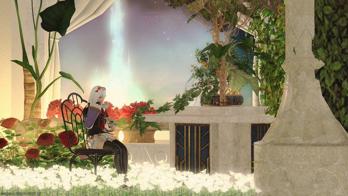 anemone_m_r's tweet image. おはようございます

FC宅の個人部屋は装備撮影用に使ってるけどあいたところにちょっとだけ可愛いスペース用意してたのを組み直してみた。好みが思いっきり出てるねぇってSS確認して笑ってしまった。

今日も素敵な一日でありますように

#FF14