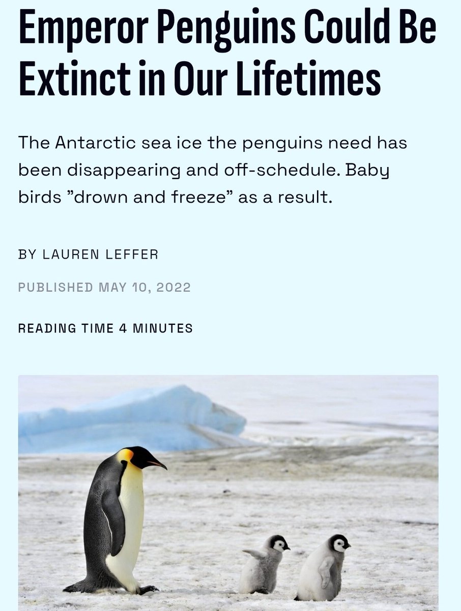 Ben See (@climateben) on Twitter photo 