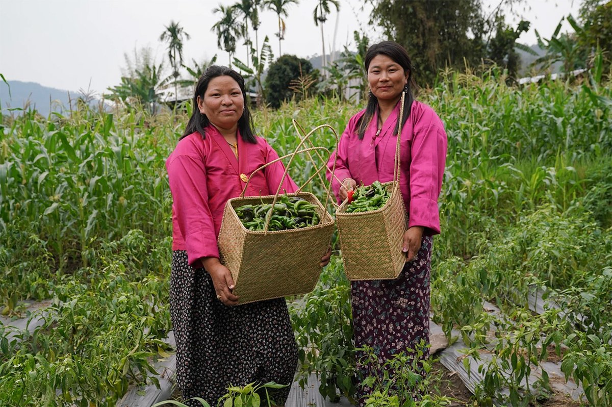 The world is on track to overshoot 1.5°C. At 2°C, extreme heat, droughts &amp; floods will intensify, coral reefs will nearly vanish.

Climate adaptation is crucial. The G7 Adaptation Accelerator Hub is aimed at fast-tracking the finance needed - learn more: adaptation-undp.org/adaptationacce…