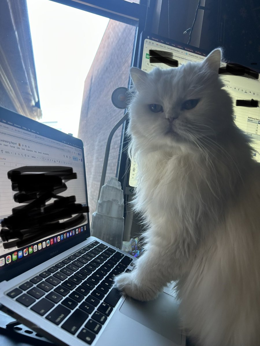 d1v1n3yay's tweet image. Hello i am doing data analysis. i cant show you the data but trust me im analyzing it really good