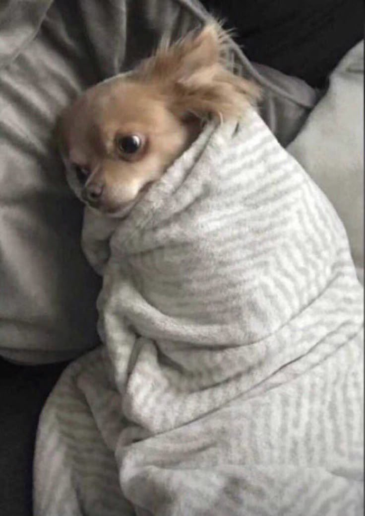 Then I need to start talking to more people