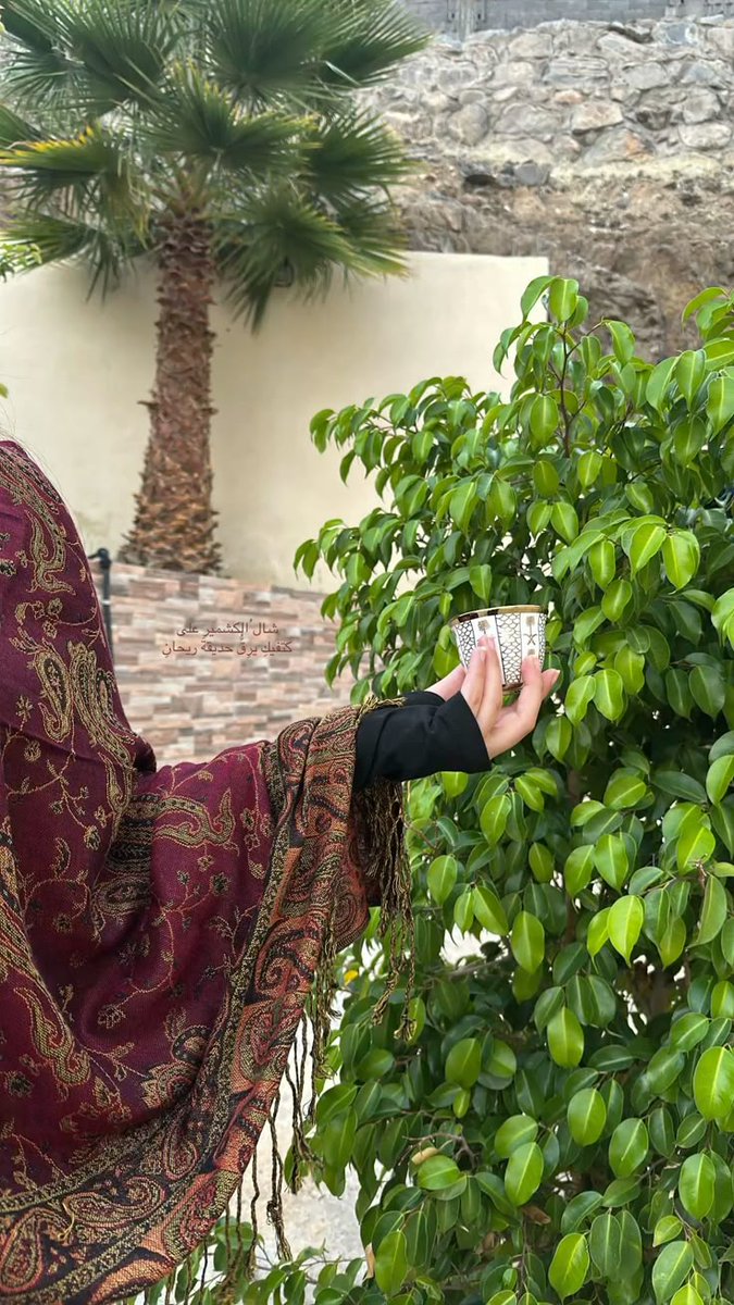 صباح الخير والياسمين لكل المتابعين ولكل ابناء الجنوب..🥰🌹