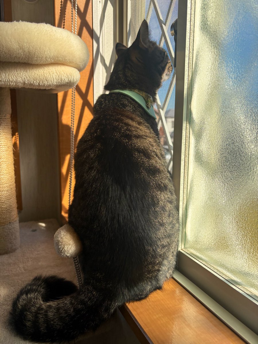 大福の大ちゃん (@Dai00634) / Posts / X