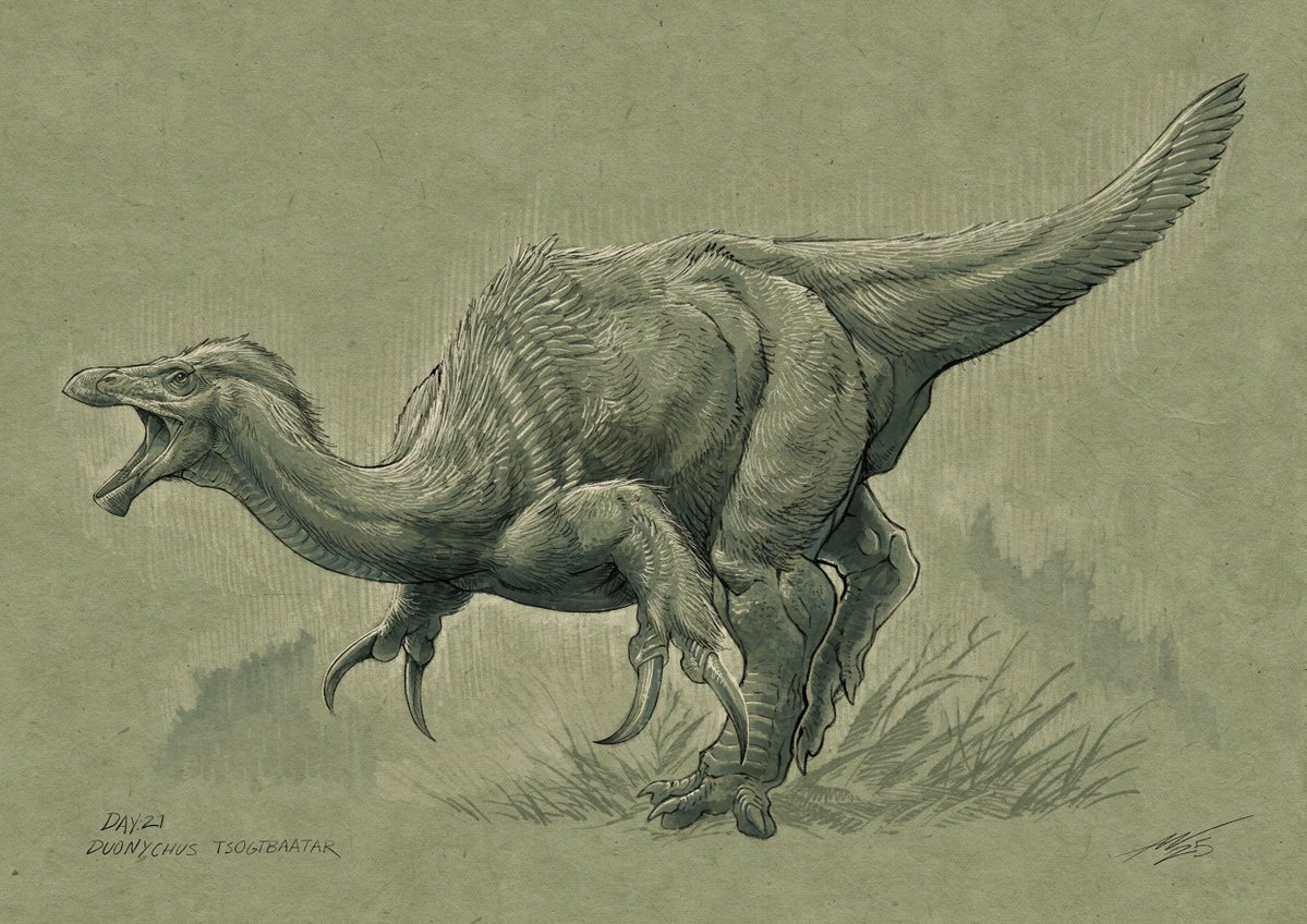 AdamWorks4's tweet image. Day 21: Duonychus tsogtbaatari #Dinovember #paleoart