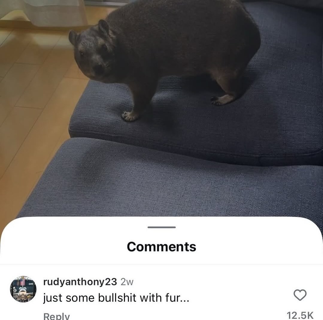 BrendanDaGawd's tweet image. 