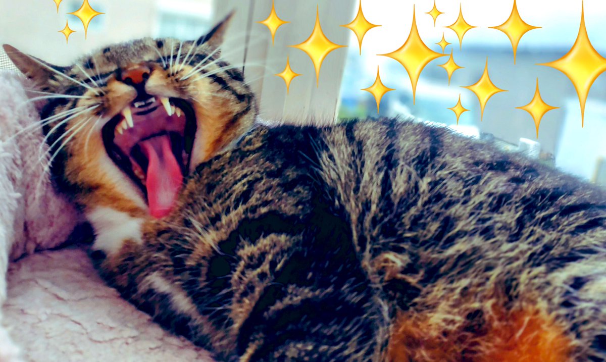 かめきち (@E9Ep7HchhwchZot) / Posts / X