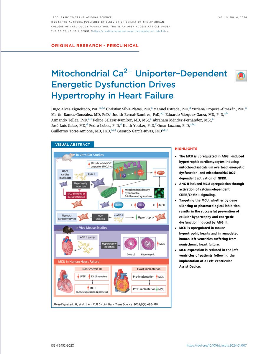 Muy contento por el trabajo de nuestro equipo al recibir por segundo año consecutivo  el PREMIO DR. MAXIMILIANO RUIZ CASTAÑEDA de la <a href="/ANacionalMed/">Academia Nacional de Medicina de México</a>  por investigación básica <a href="/IOR_Obesity/">Institute for Obesity Research</a> <a href="/FigueiredoHug/">Hugo Alves Figueiredo</a>  excelente trabajo!! <a href="/GTorreAmione/">Guillermo Torre</a>
