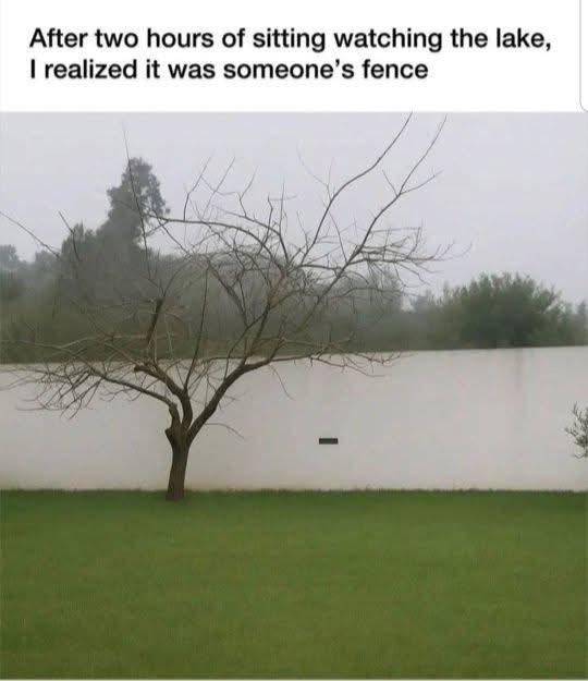 BethSpieker8's tweet image. #POstables well, it was hard to tell! 🤷‍♀️🤷‍♀️🤣🤣