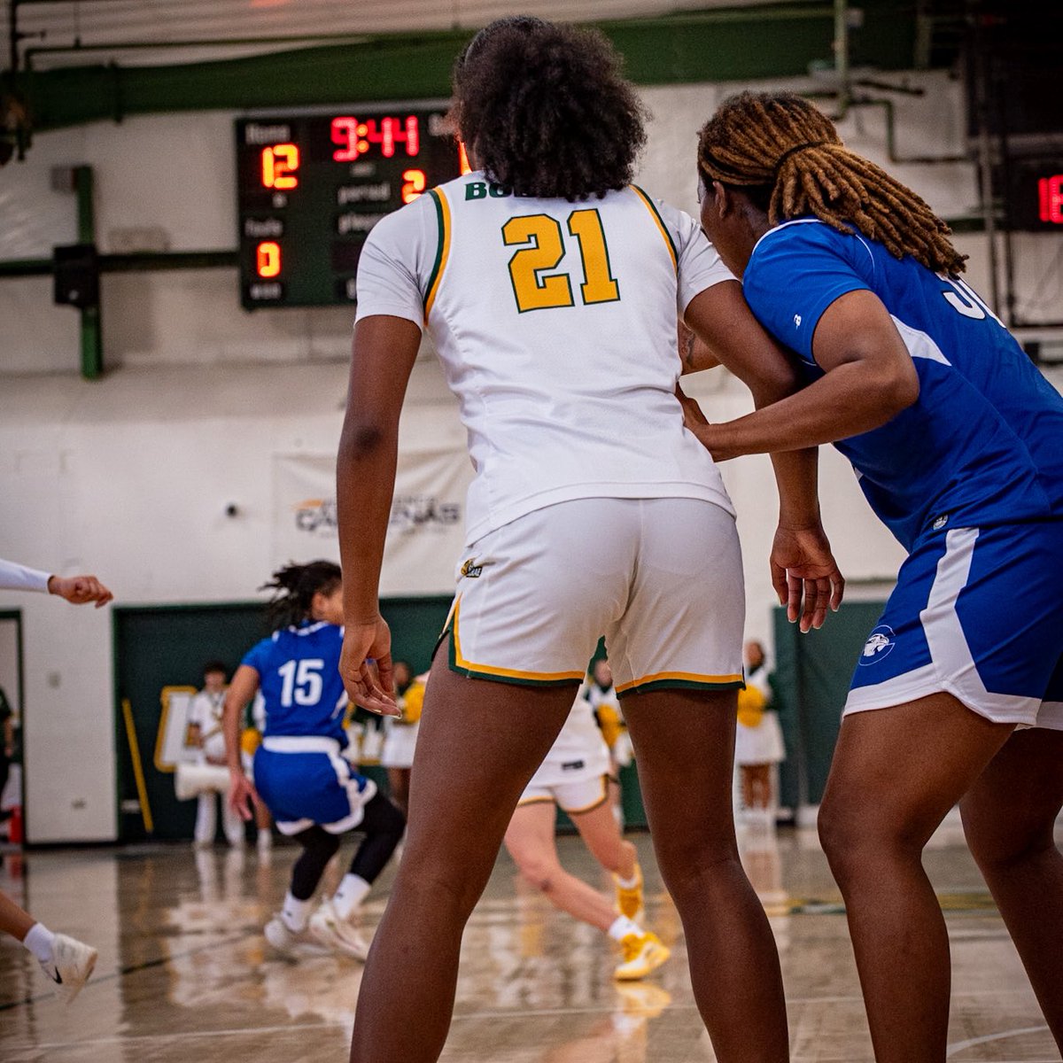 Lees-McRae Women’s Basketball tweet media