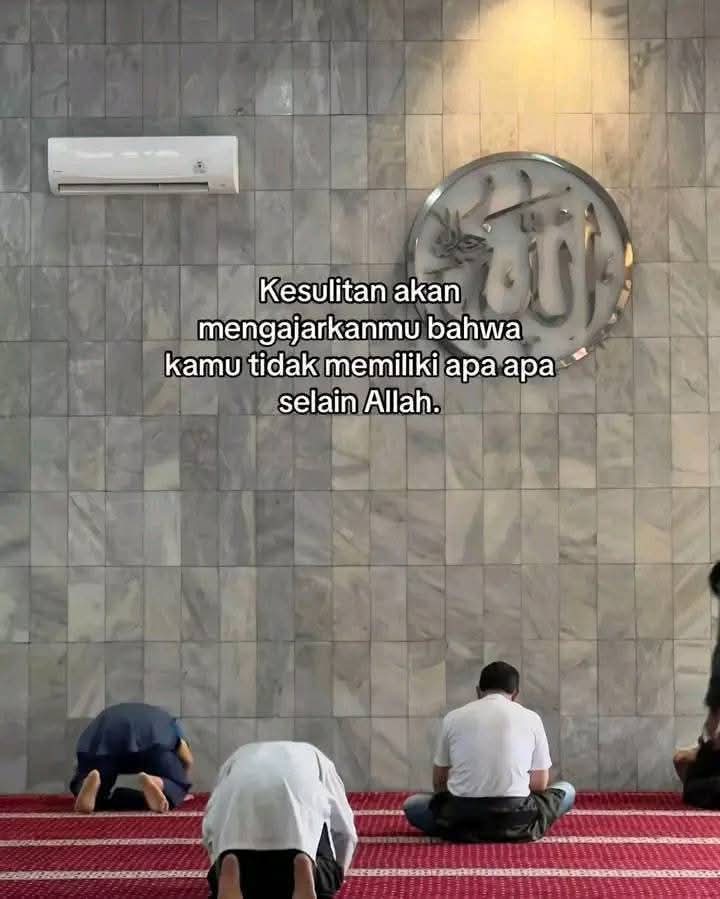 punaidaon's tweet image. 