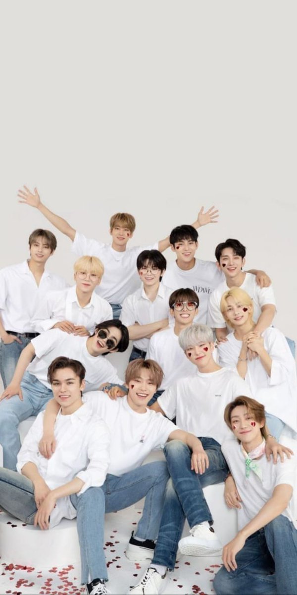 Mahendra Bros 

Seventeen ot13 family au