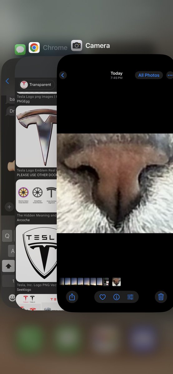 Could be nothing…
<a href="/elonmusk/">Elon Musk</a> <a href="/Tesla/">Tesla</a>