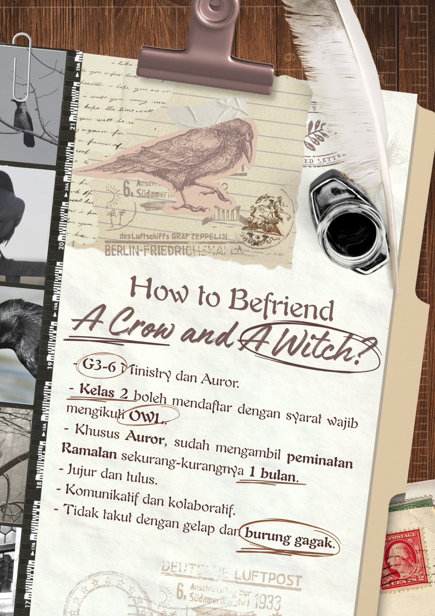 ㅤ
The Sire in our house is looking for a companion. 

Apply until Sunday, 11.30 ‘2025.
ㅤ