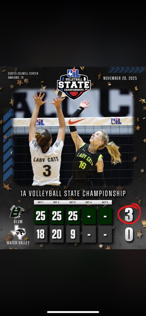 Haley Scott Volleyball tweet media