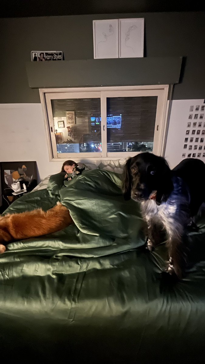 gabrela's tweet image. paz ❤️