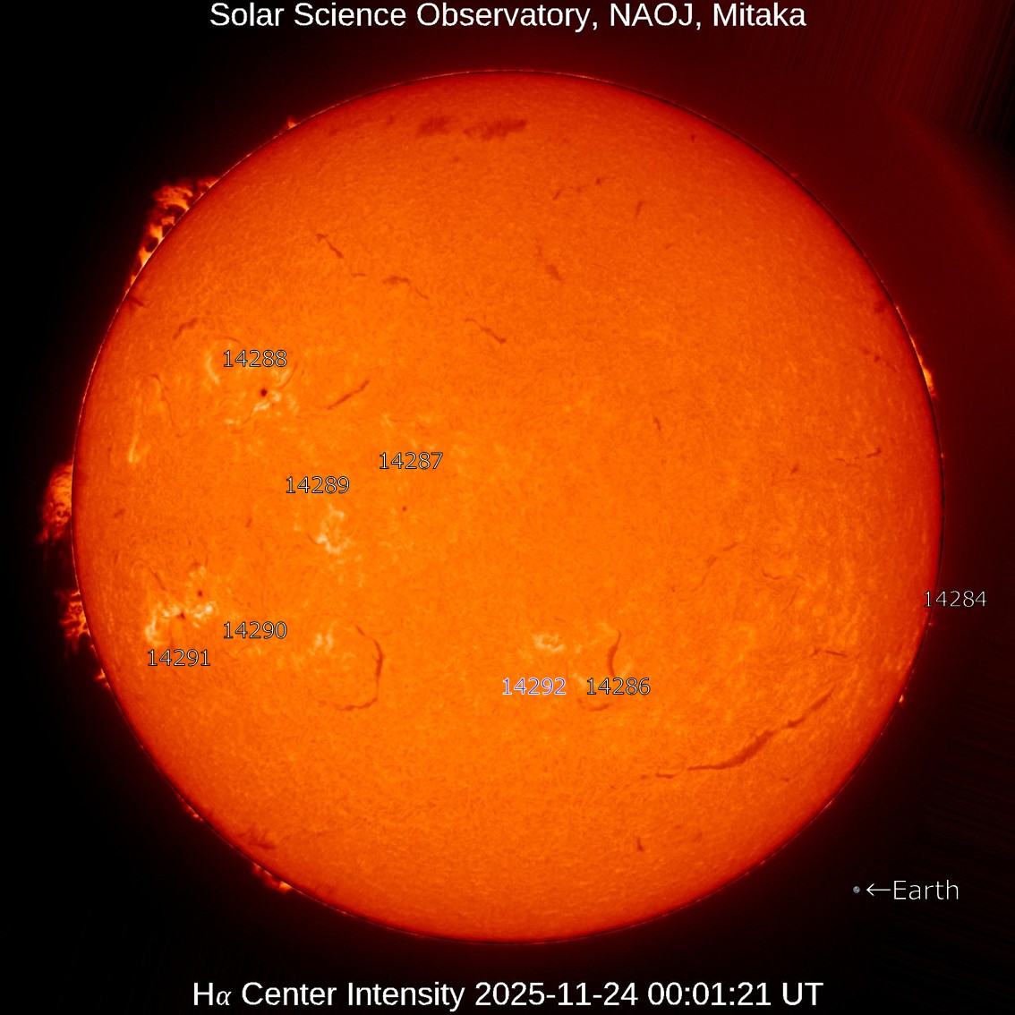 本日の太陽】2025-11-24のHα線全面像 活動領域14292が新たに出現しま