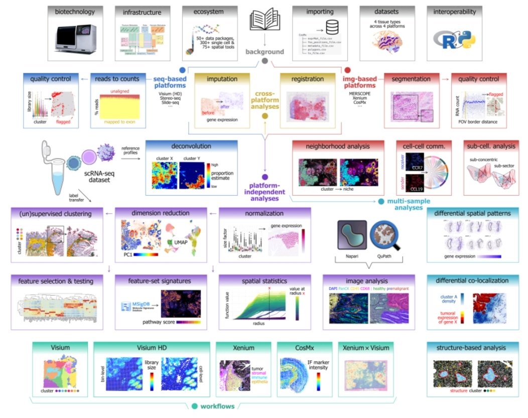 ascanet's tweet image. Crowell et al. provided a freely accessible, open-source book containing reproducible code examples, datasets, and discussion about data analysis workflows for spatial omics data using Bioconductor in R.

biorxiv.org/content/10.110…

#SingleCell #SpatialBiology