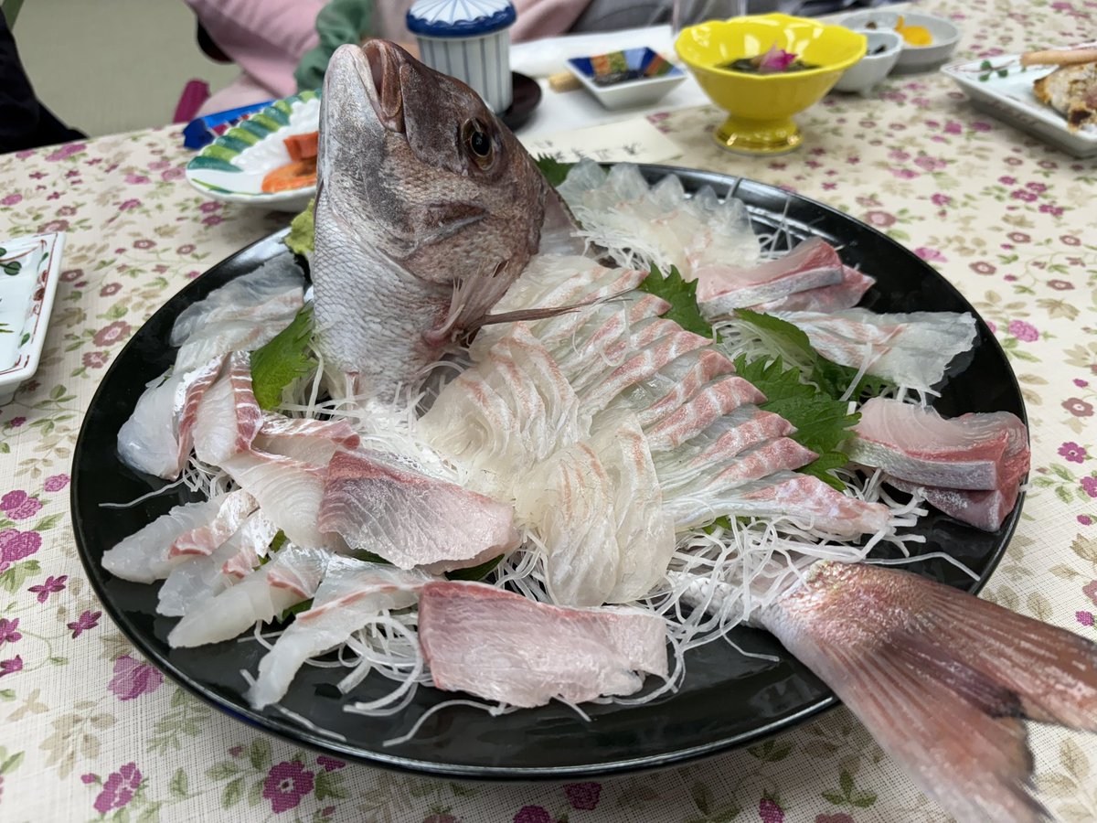 Rindo00711230's tweet image. 日間賀島に行ってきましたああー！^_^
ご飯美味しい！景色めっちゃいい！人があったかい！タコうまい🐙！

楽しすぎてついお酒飲みすぎちったけどすっごい楽しかった！😁

#日間賀島 
#たこ