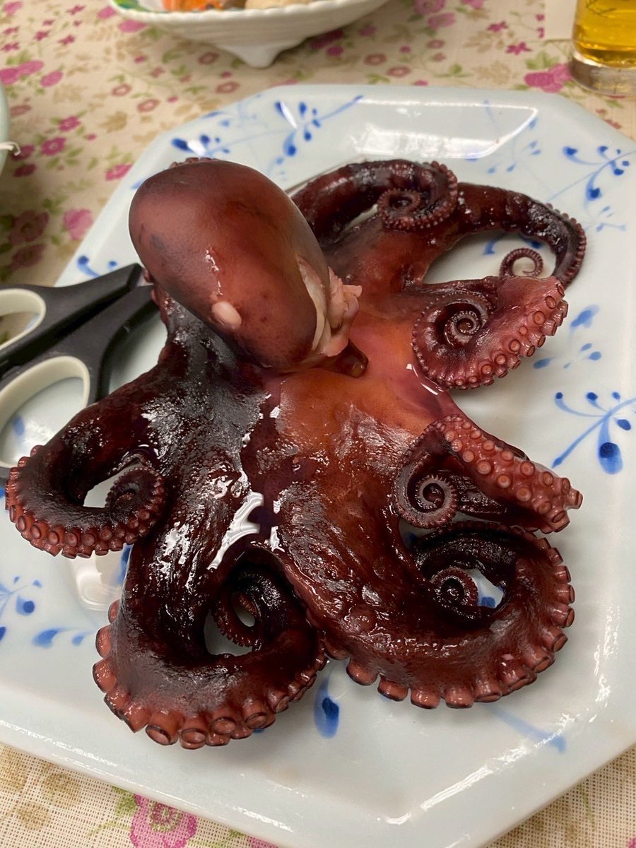 Rindo00711230's tweet image. 日間賀島に行ってきましたああー！^_^
ご飯美味しい！景色めっちゃいい！人があったかい！タコうまい🐙！

楽しすぎてついお酒飲みすぎちったけどすっごい楽しかった！😁

#日間賀島 
#たこ