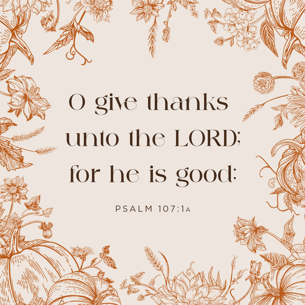 NVPublications's tweet photo. Happy Thanksgiving from all of us at North Valley Publications! https://t.co/CkHhr5vumX