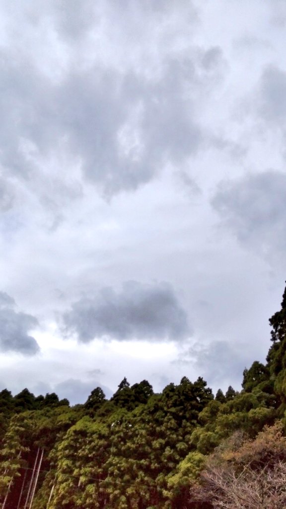 おはようございます。