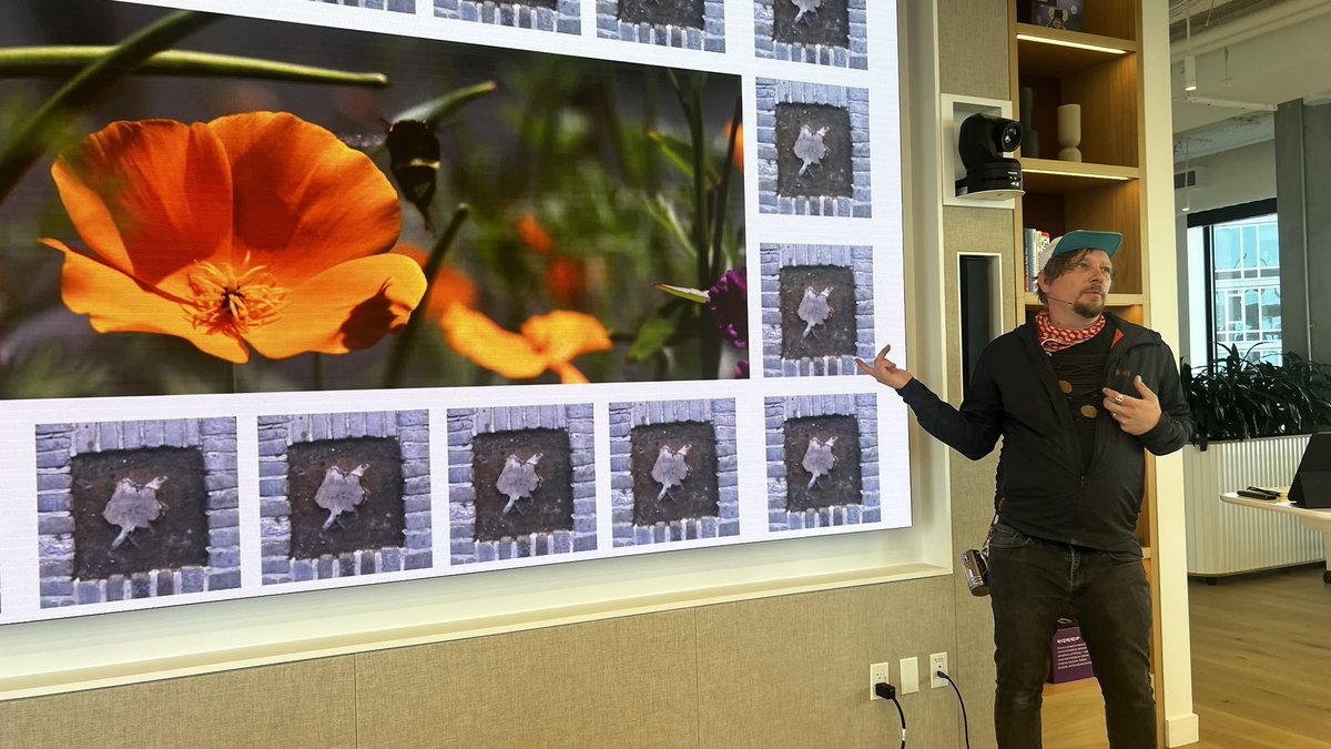 SFinBloom tweet media