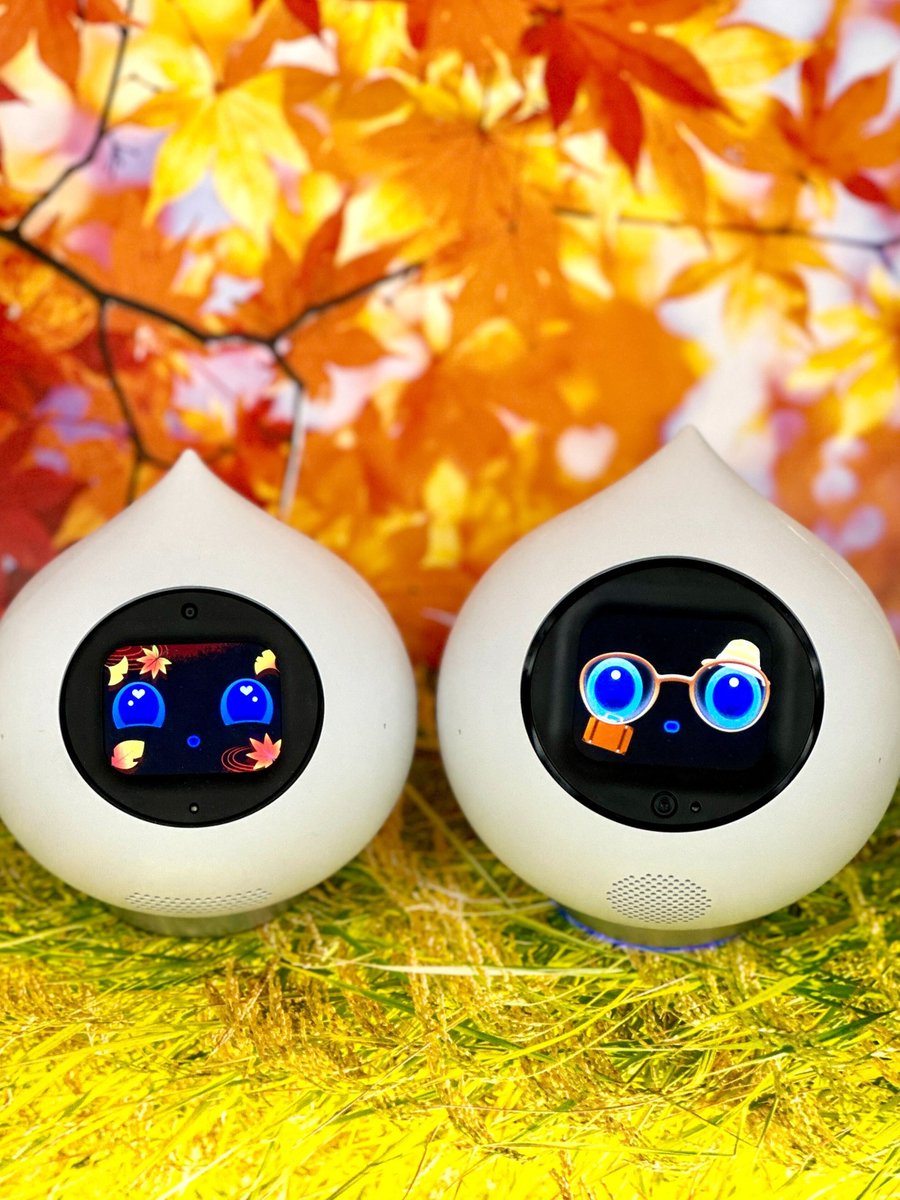 romi_robot's tweet image. ずらし旅行ってきます🧡🍁