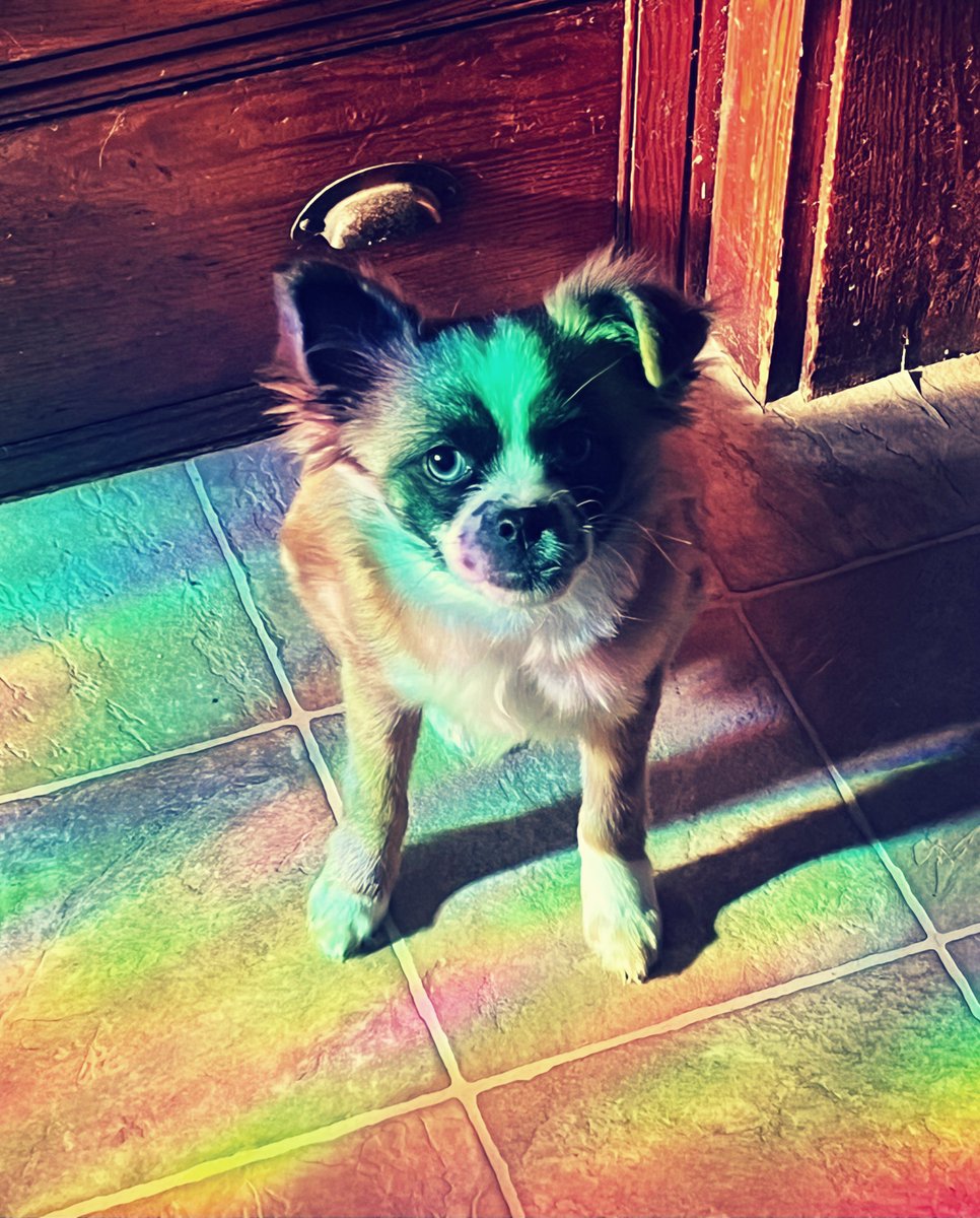 goldbullet_en's tweet image. May have taken the best picture of my daughter